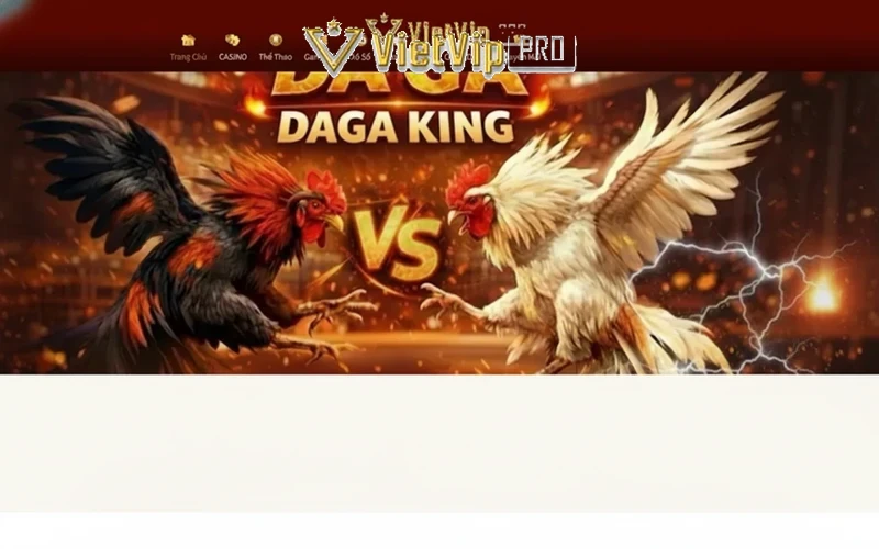 Nhà cái Vietvip